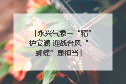 永兴气象三“精”护安澜 迎战台风“蝴蝶”显担当
