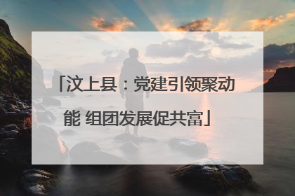 汶上县：党建引领聚动能 组团发展促共富