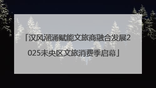 汉风潮涌赋能文旅商融合发展2025未央区文旅消费季启幕