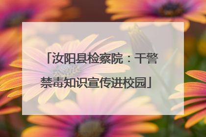 汝阳县检察院：干警禁毒知识宣传进校园
