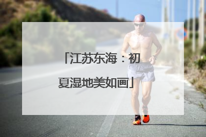 江苏东海：初夏湿地美如画