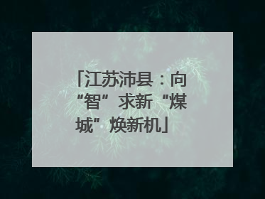 江苏沛县：向“智”求新“煤城”焕新机