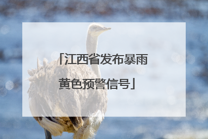 江西省发布暴雨黄色预警信号