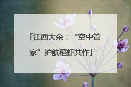 江西大余：“空中管家”护航稻虾共作
