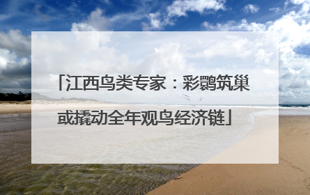 江西鸟类专家：彩鹮筑巢或撬动全年观鸟经济链