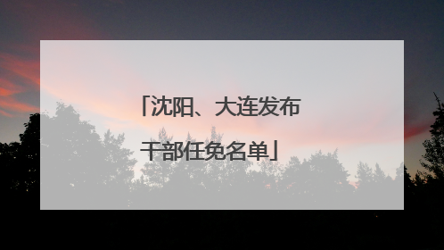 沈阳、大连发布干部任免名单