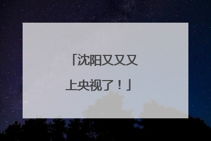 沈阳又又又上央视了！