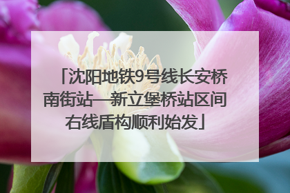 沈阳地铁9号线长安桥南街站—新立堡桥站区间右线盾构顺利始发
