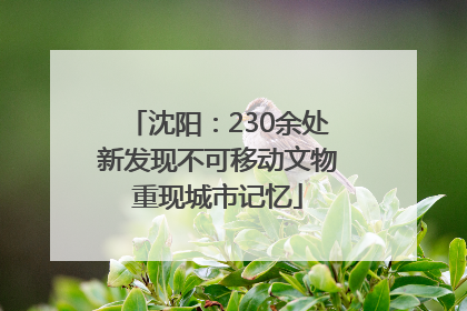 沈阳：230余处新发现不可移动文物重现城市记忆
