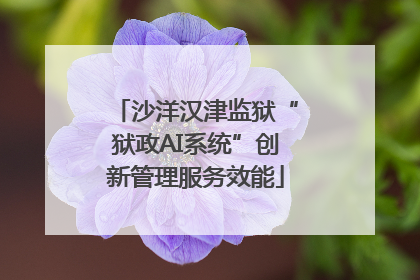 沙洋汉津监狱“狱政AI系统”创新管理服务效能