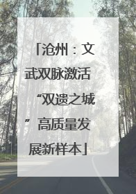 沧州：文武双脉激活“双遗之城”高质量发展新样本