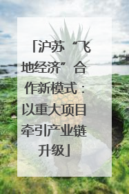 沪苏“飞地经济”合作新模式：以重大项目牵引产业链升级