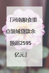 河南粮食重点领域贷款余额超2595亿元