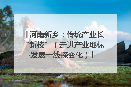 河南新乡：传统产业长“新枝”（走进产业地标·发展一线探变化）