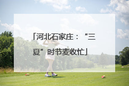 河北石家庄：“三夏”时节麦收忙