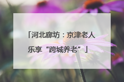 河北廊坊：京津老人乐享“跨城养老”