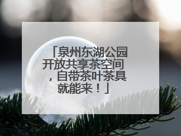 泉州东湖公园开放共享茶空间，自带茶叶茶具就能来！