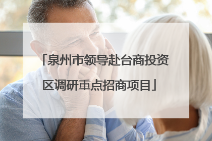 泉州市领导赴台商投资区调研重点招商项目