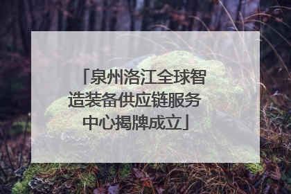 泉州洛江全球智造装备供应链服务中心揭牌成立