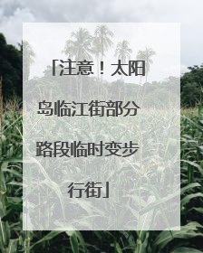 注意！太阳岛临江街部分路段临时变步行街