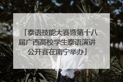 泰语技能大赛暨第十八届广西高校学生泰语演讲公开赛在南宁举办