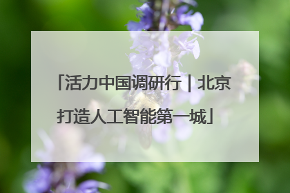 活力中国调研行｜北京打造人工智能第一城