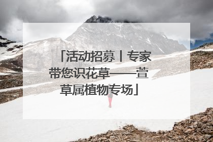 活动招募丨专家带您识花草——萱草属植物专场