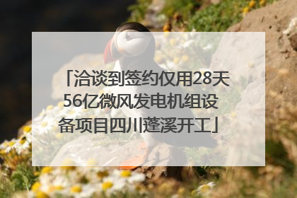 洽谈到签约仅用28天 56亿微风发电机组设备项目四川蓬溪开工