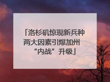 洛杉矶惊现新兵种 两大因素引爆加州“内战”升级