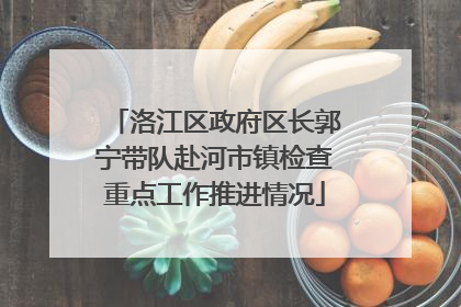 洛江区政府区长郭宁带队赴河市镇检查重点工作推进情况