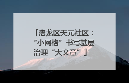 洛龙区天元社区：“小网格”书写基层治理“大文章”