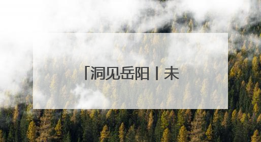 洞见岳阳丨未雨绸缪 打好防汛“主动仗”