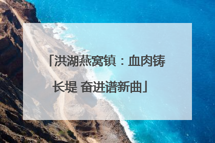 洪湖燕窝镇：血肉铸长堤 奋进谱新曲