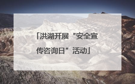 洪湖开展“安全宣传咨询日”活动