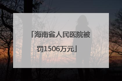 海南省人民医院被罚1506万元