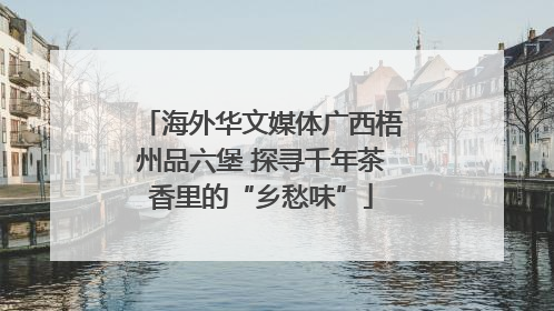 海外华文媒体广西梧州品六堡 探寻千年茶香里的“乡愁味”