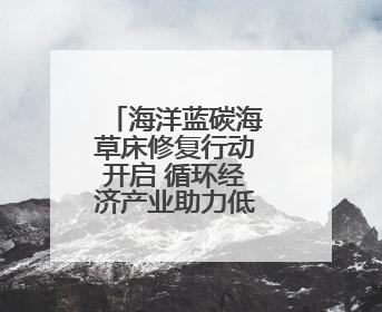 海洋蓝碳海草床修复行动开启 循环经济产业助力低碳社会建设丨新经济观察
