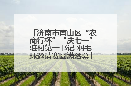 济南市南山区“农商行杯”“庆七一”驻村第一书记 羽毛球邀请赛圆满落幕