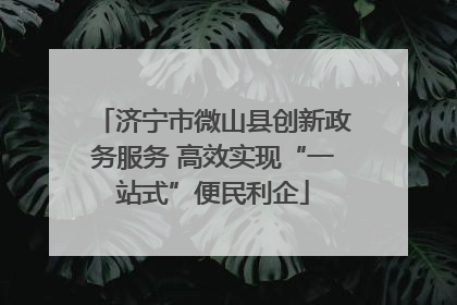 济宁市微山县创新政务服务 高效实现“一站式”便民利企