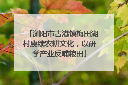 浏阳市古港镇梅田湖村赓续农耕文化，以研学产业反哺粮田