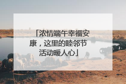 浓情端午幸福安康，这里的睦邻节活动暖人心
