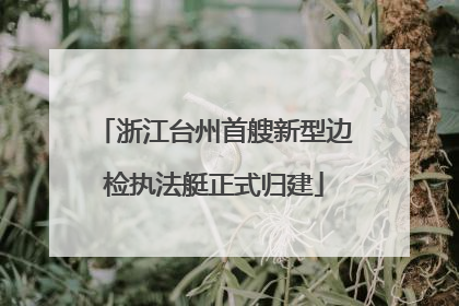 浙江台州首艘新型边检执法艇正式归建