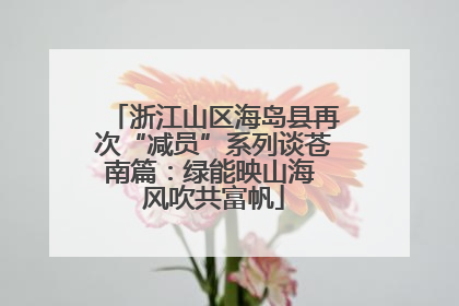浙江山区海岛县再次“减员”系列谈苍南篇：绿能映山海 风吹共富帆