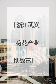 浙江武义：荷花产业助致富