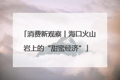 消费新观察丨海口火山岩上的“甜蜜经济”