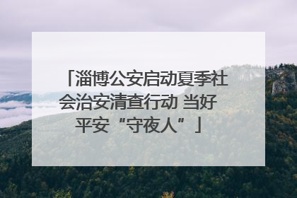 淄博公安启动夏季社会治安清查行动 当好平安“守夜人”