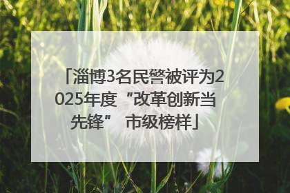 淄博3名民警被评为2025年度“改革创新当先锋” 市级榜样