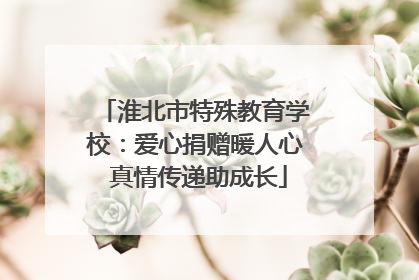 淮北市特殊教育学校：爱心捐赠暖人心 真情传递助成长