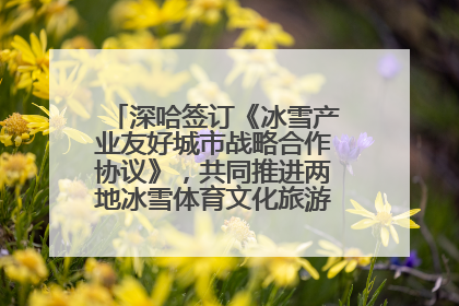 深哈签订《冰雪产业友好城市战略合作协议》，共同推进两地冰雪体育文化旅游高质量发展