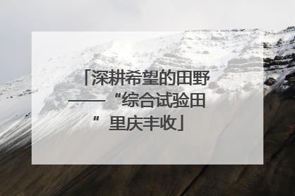 深耕希望的田野——“综合试验田”里庆丰收